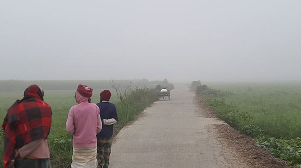 কুষ্টিয়ায় সর্বনিম্ন তাপমাত্রা ৯ ডিগ্রী, শিক্ষা প্রতিষ্ঠানে ছুটি ঘোষণা 