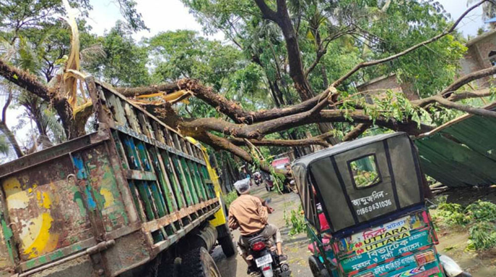 ঝড়ে লন্ডভন্ড পিরোজপুর, নিহত ১ 