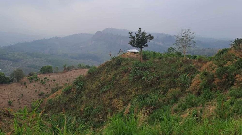 বান্দরবানে পর্যটক ভ্রমণে নিষেধাজ্ঞা