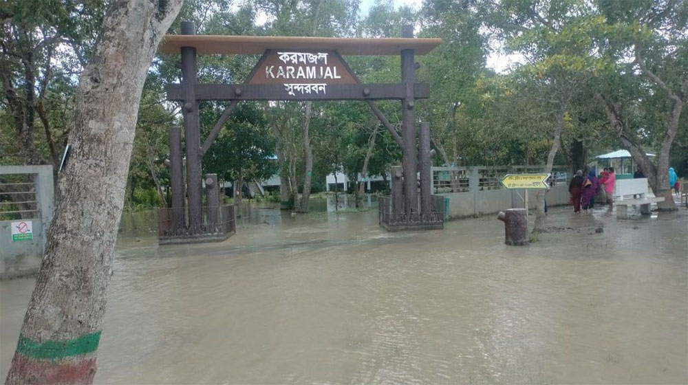 জলোচ্ছ্বাসে তলিয়ে গেছে সুন্দরবন