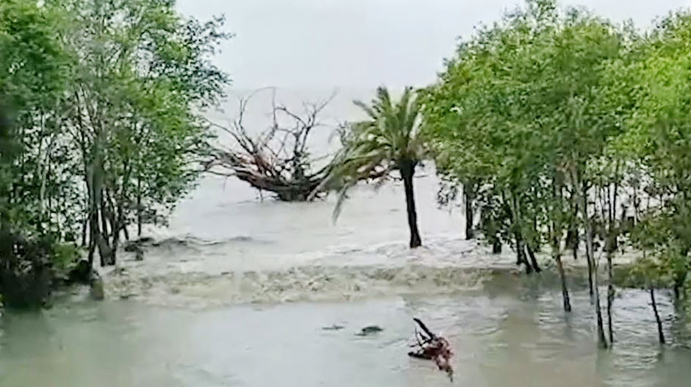 ঘূর্ণিঝড় রেমালের তাণ্ডবে তছনছ সুন্দরবনের জীববৈচিত্র্য