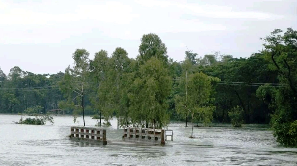 ভারি বর্ষণে ডুবল টেকনাফের ৫০ গ্রাম