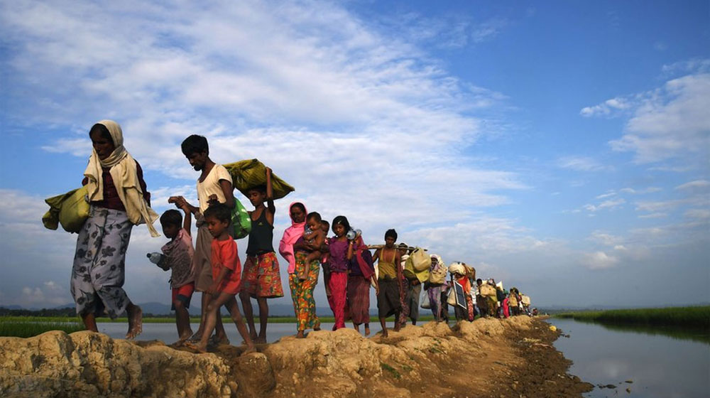 দালালের মাধ্যমে ঢুকছে রোহিঙ্গারা