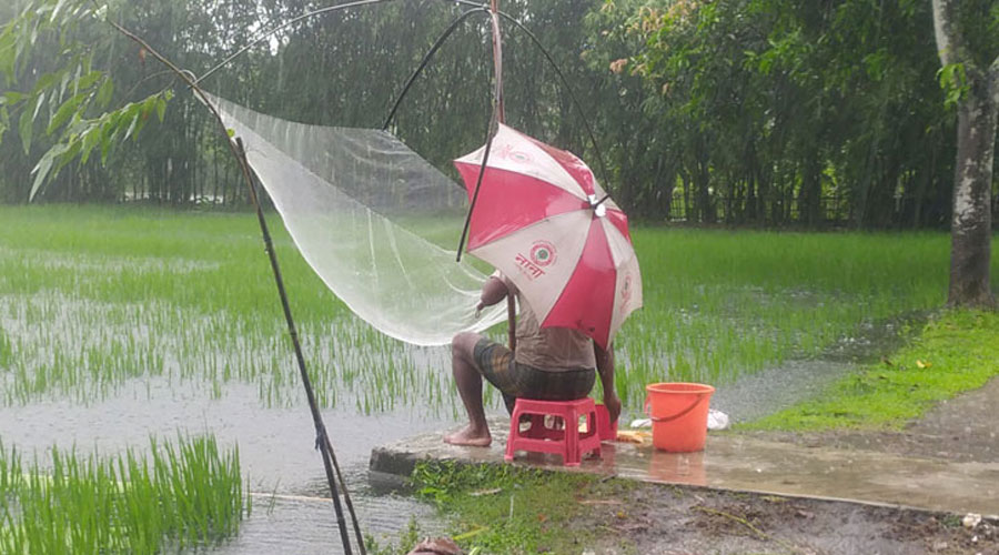 ১৮৩ মিলিমিটার বৃষ্টিপাতের রেকর্ড পঞ্চগড়ে