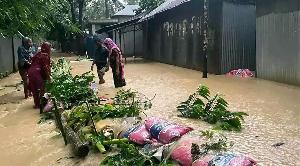 শেরপুরে হঠাৎ বন্যা, শতাধিক গ্রামের নিম্নাঞ্চল প্লাবিত