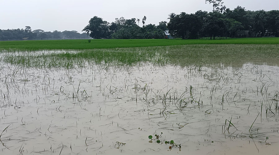 বন্যার পানি কমলেও বাড়ছে দুর্ভোগ