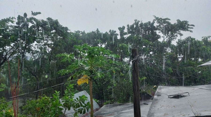 ঘূর্ণিঝড় দানায় বাগেরহাটে বৃষ্টি