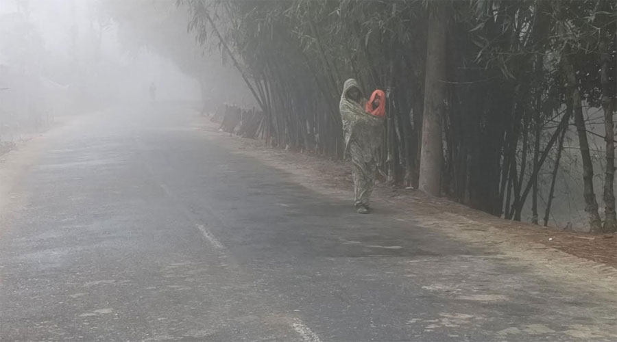 ঘন কুয়াশায় ঢেকে গেছে কুড়িগ্রামের জনপদ