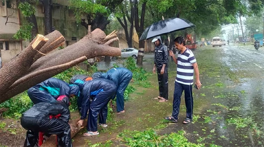 তামিলনাড়ুর কুড্ডালোরে ফিনজালের তাণ্ডবে উপড়ে পড়া গাছ সরিয়ে নিচ্ছে দুর্যোগ প্রতিক্রিয়া বাহিনীর কর্মীরা