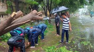 ঘূর্ণিঝড় ফিনজালের তাণ্ডবে প্রাণ গেল ১৯ জনের