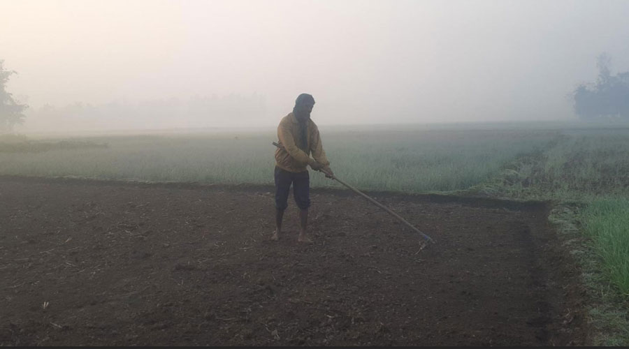 বেড়েছে রাত-দিনের তাপমাত্রা