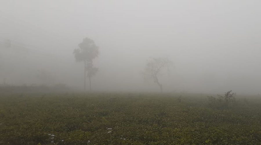 পঞ্চগড়ে কমেনি শীতের দাপট